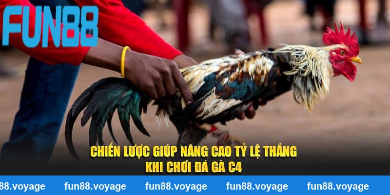 Chiến lược giúp nâng cao tỷ lệ thắng khi chơi đá gà C4