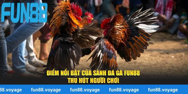 Điểm nổi bật của sảnh đá gà Fun88 thu hút người chơi