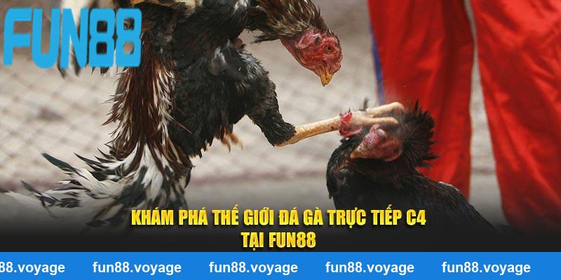 Khám Phá Thế Giới Trực Tiếp Đá Gà C4 Tại Nhà Cái FUN88